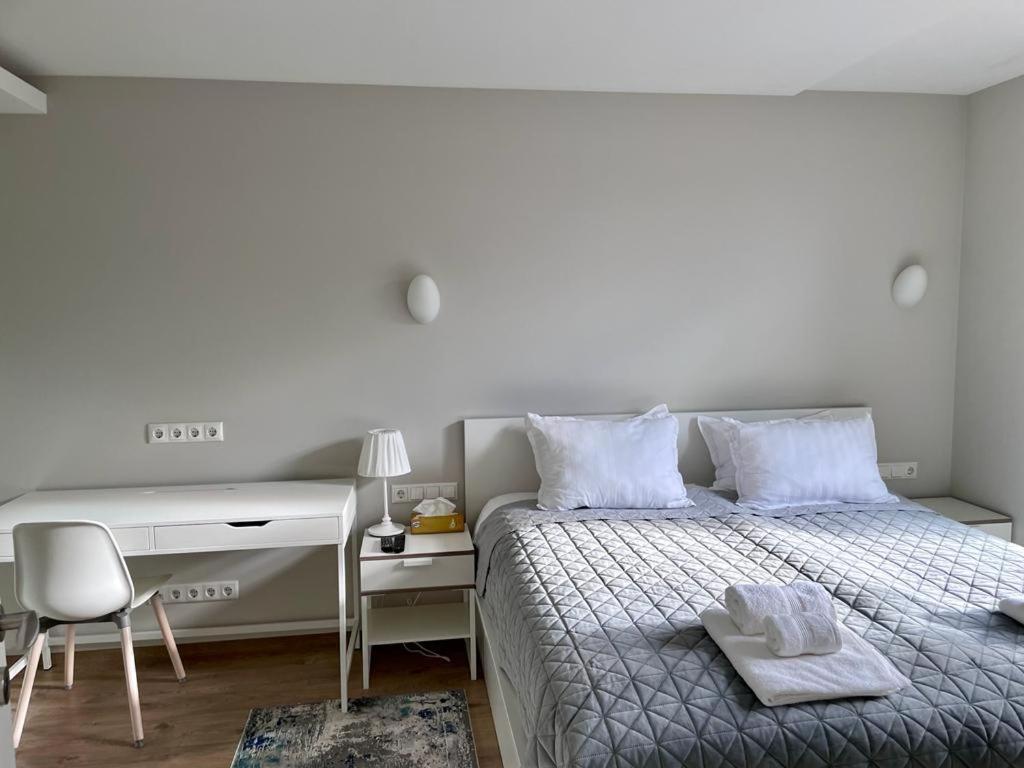 Victoria Old Town Apartments クライペダ エクステリア 写真