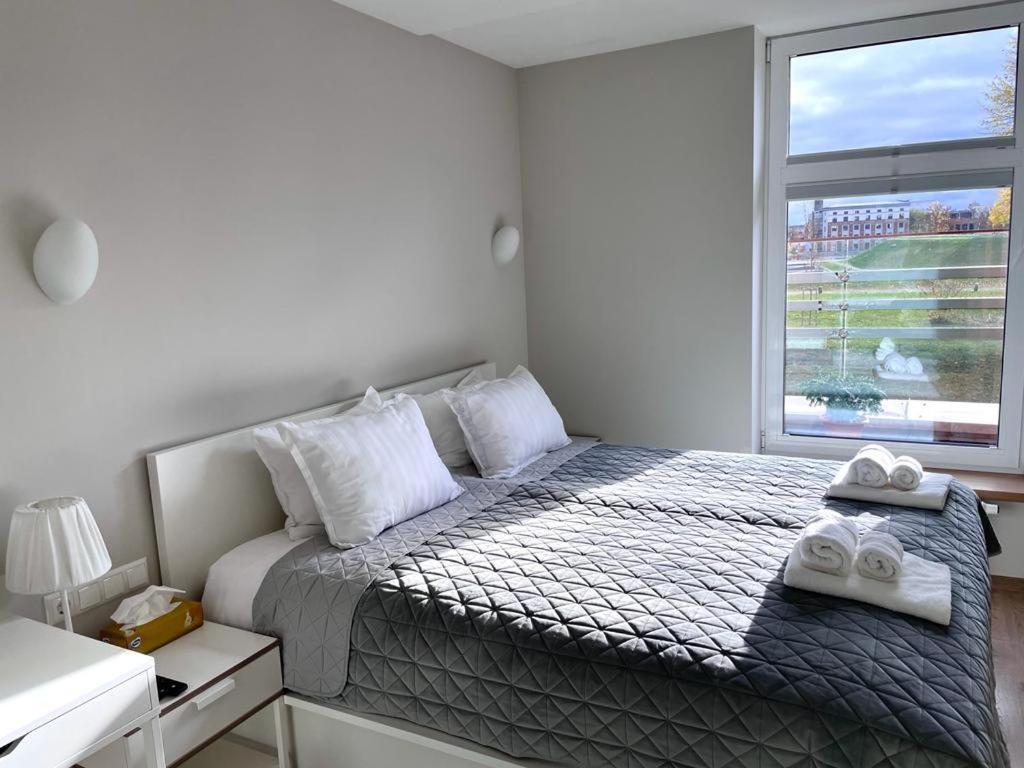 Victoria Old Town Apartments クライペダ エクステリア 写真