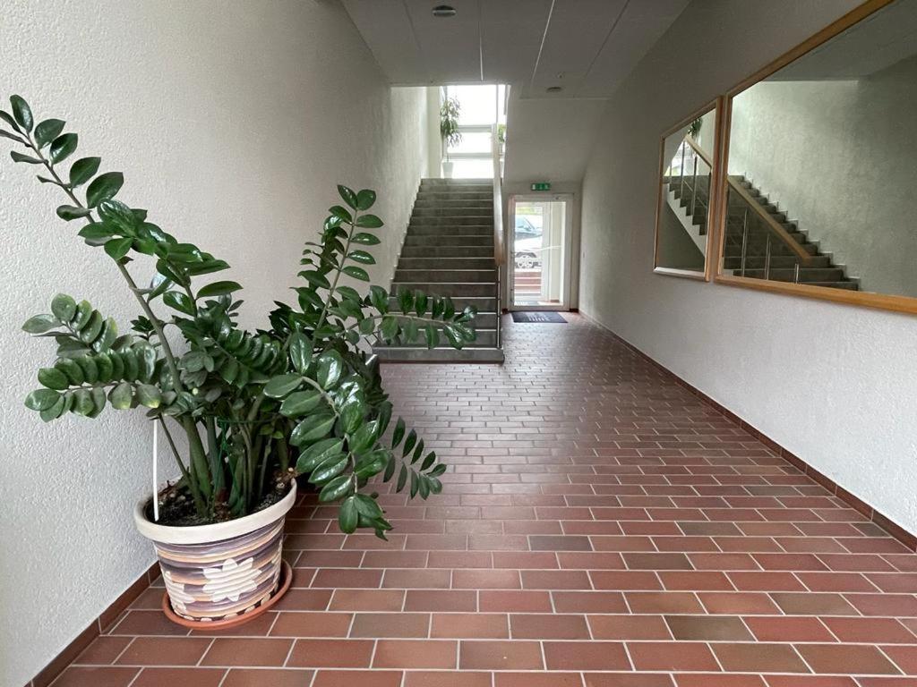 Victoria Old Town Apartments クライペダ エクステリア 写真
